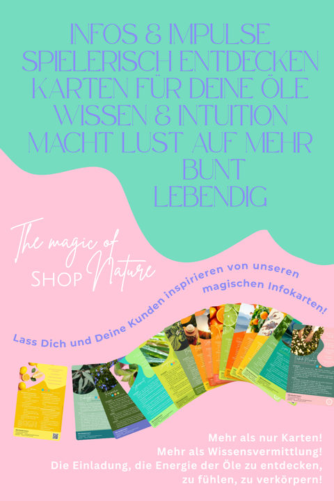 Flyer: Infos und Impulse spielerisch entdecken